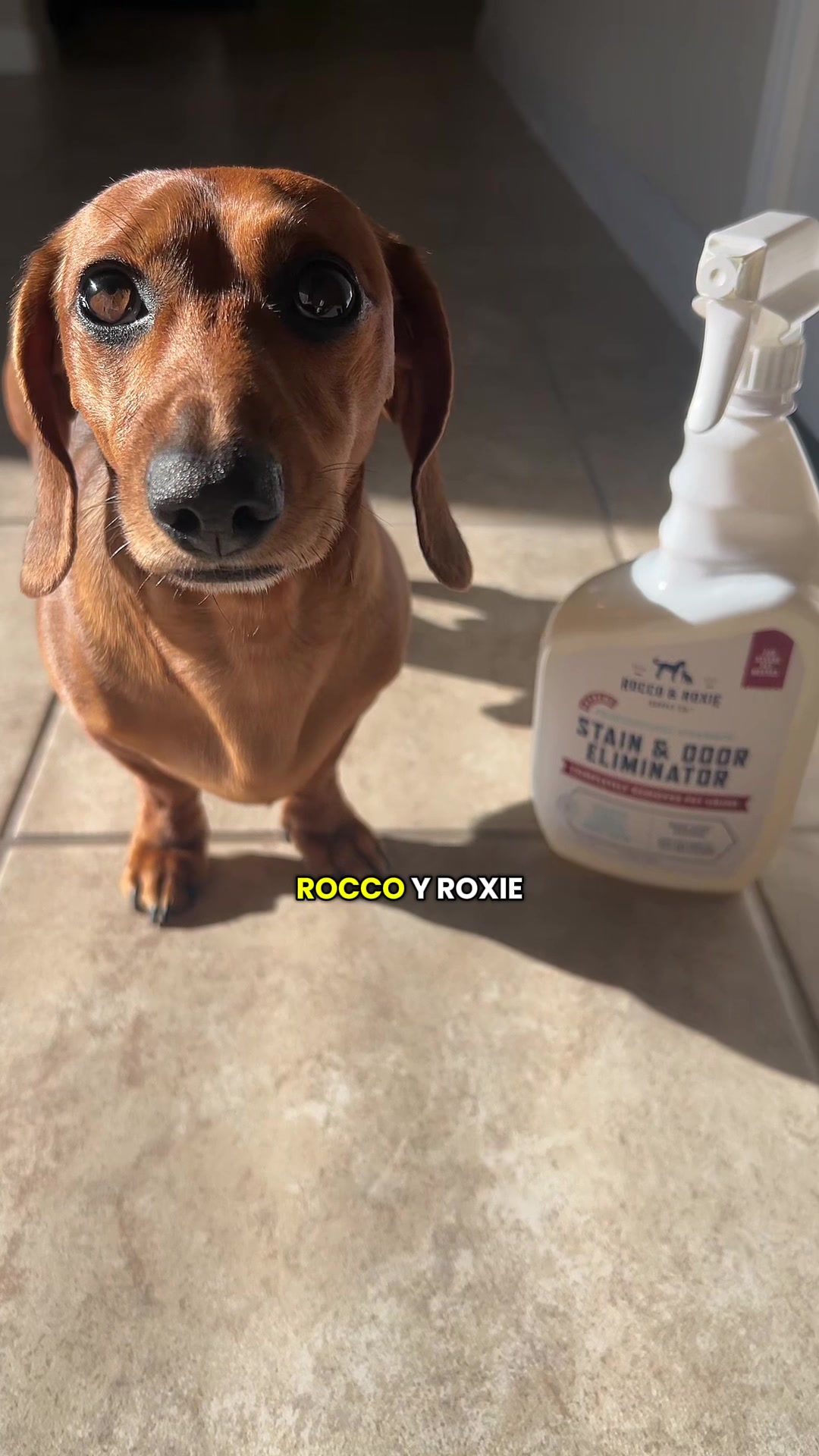 @Slinky Severus-Doo