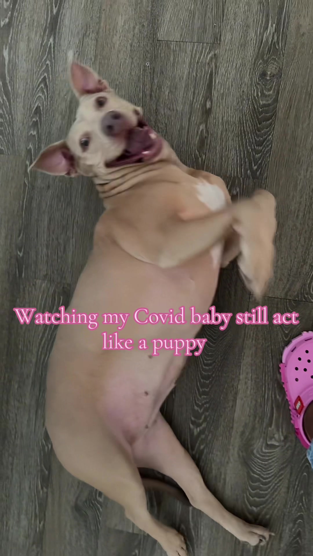 @agirlthatwants2havefun