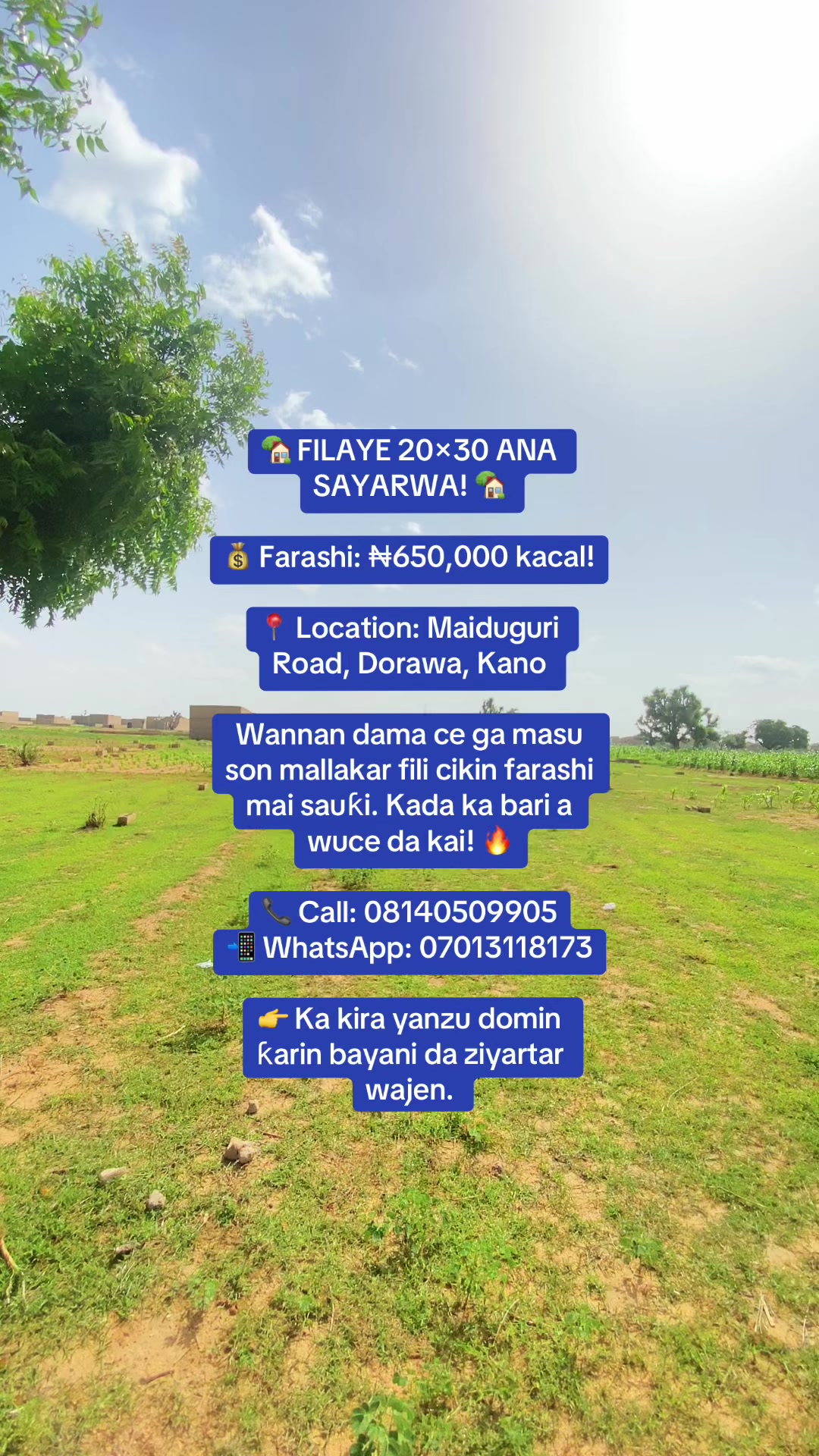 @Ibrahim Real Estates