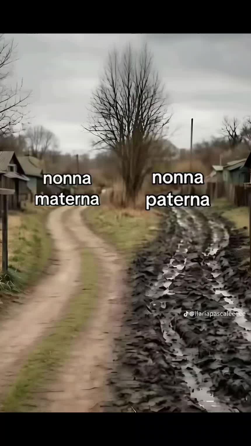 @marta cast🤍