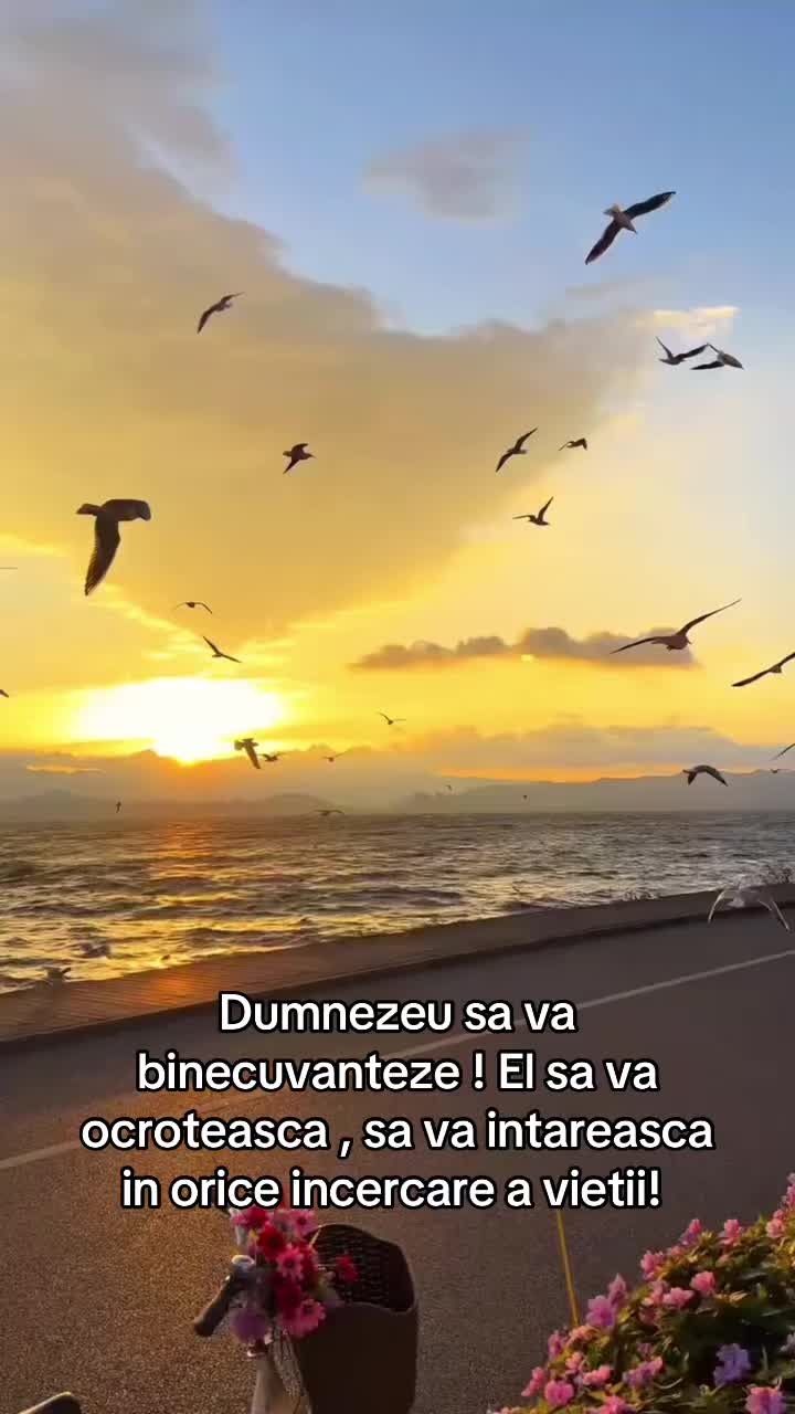 @𝙏𝙖𝙣𝙞𝙖 𝙏𝙞𝙢𝙞𝙨𝙤𝙖𝙧𝙖