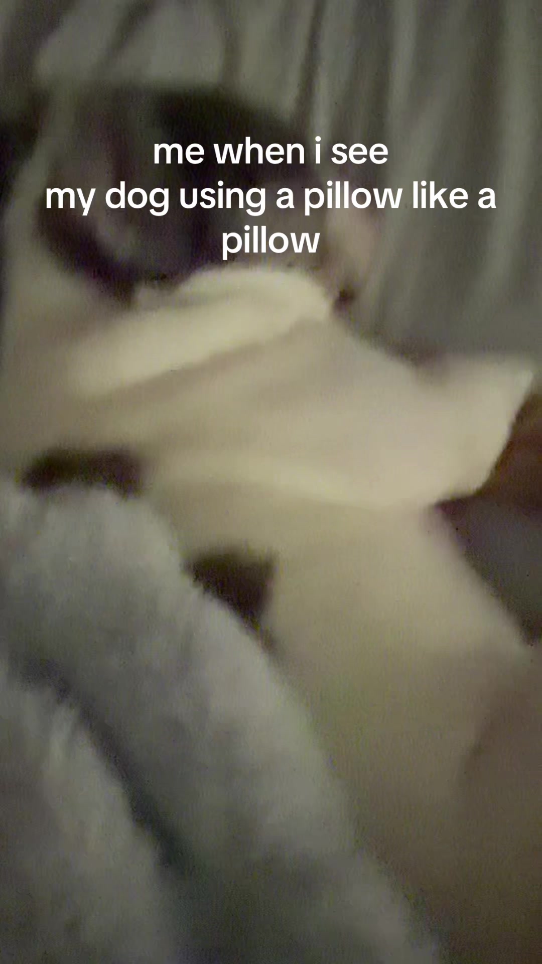 @sheabb6714