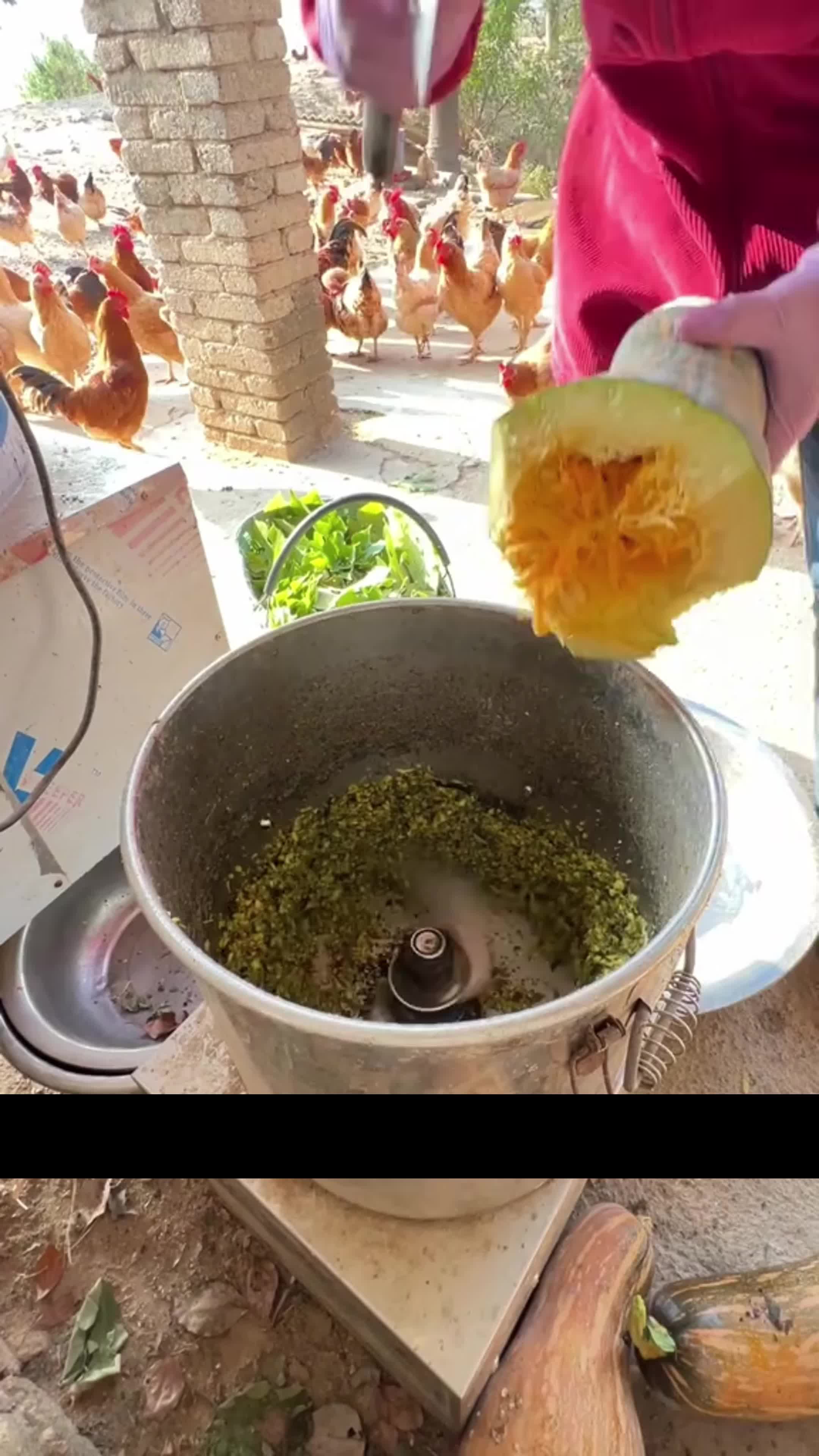 @Curiosidades Quânticas
