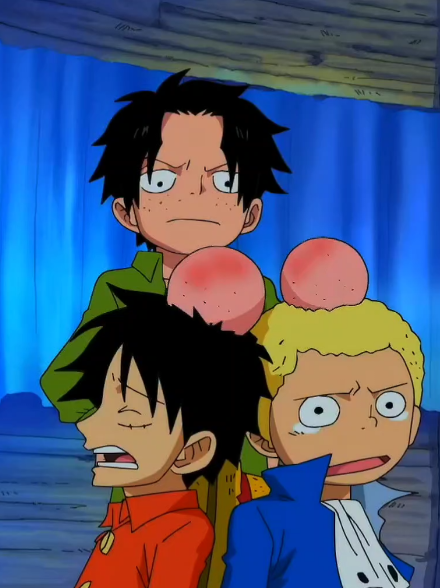 @One Piece ☠️