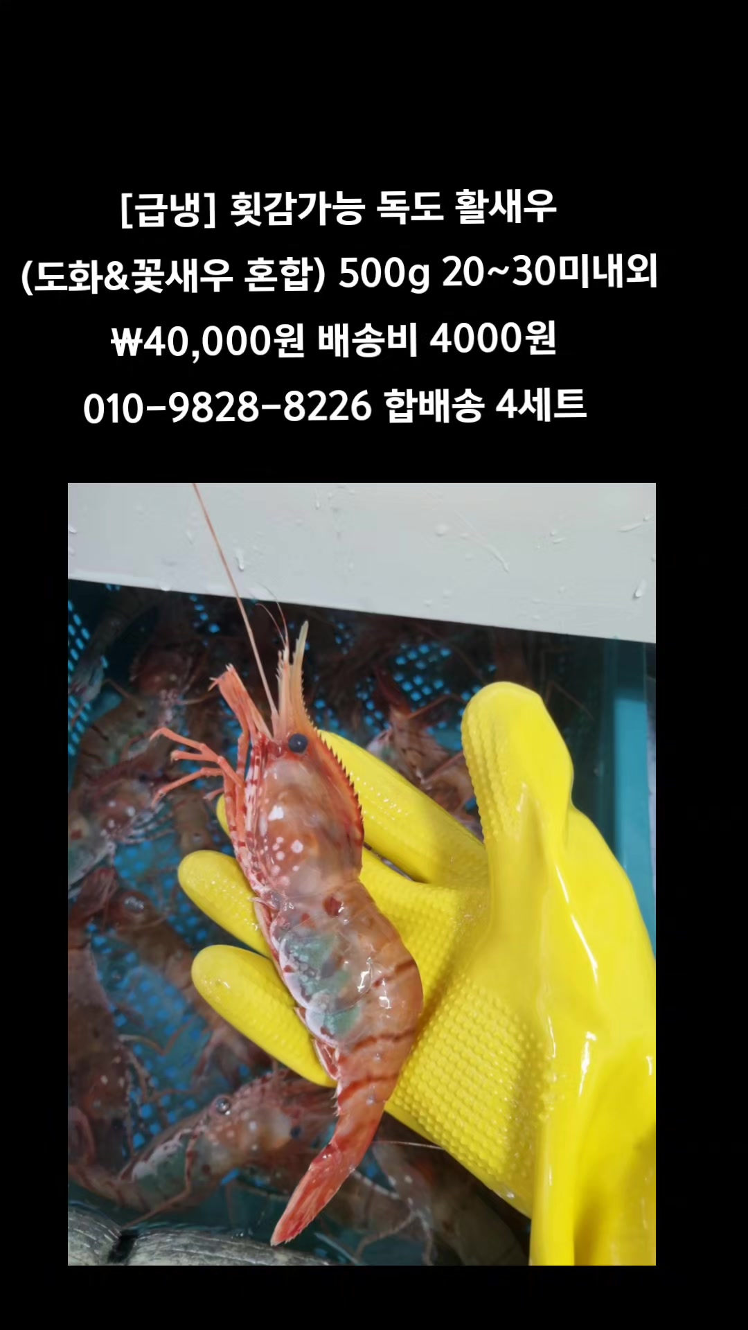 @똑손