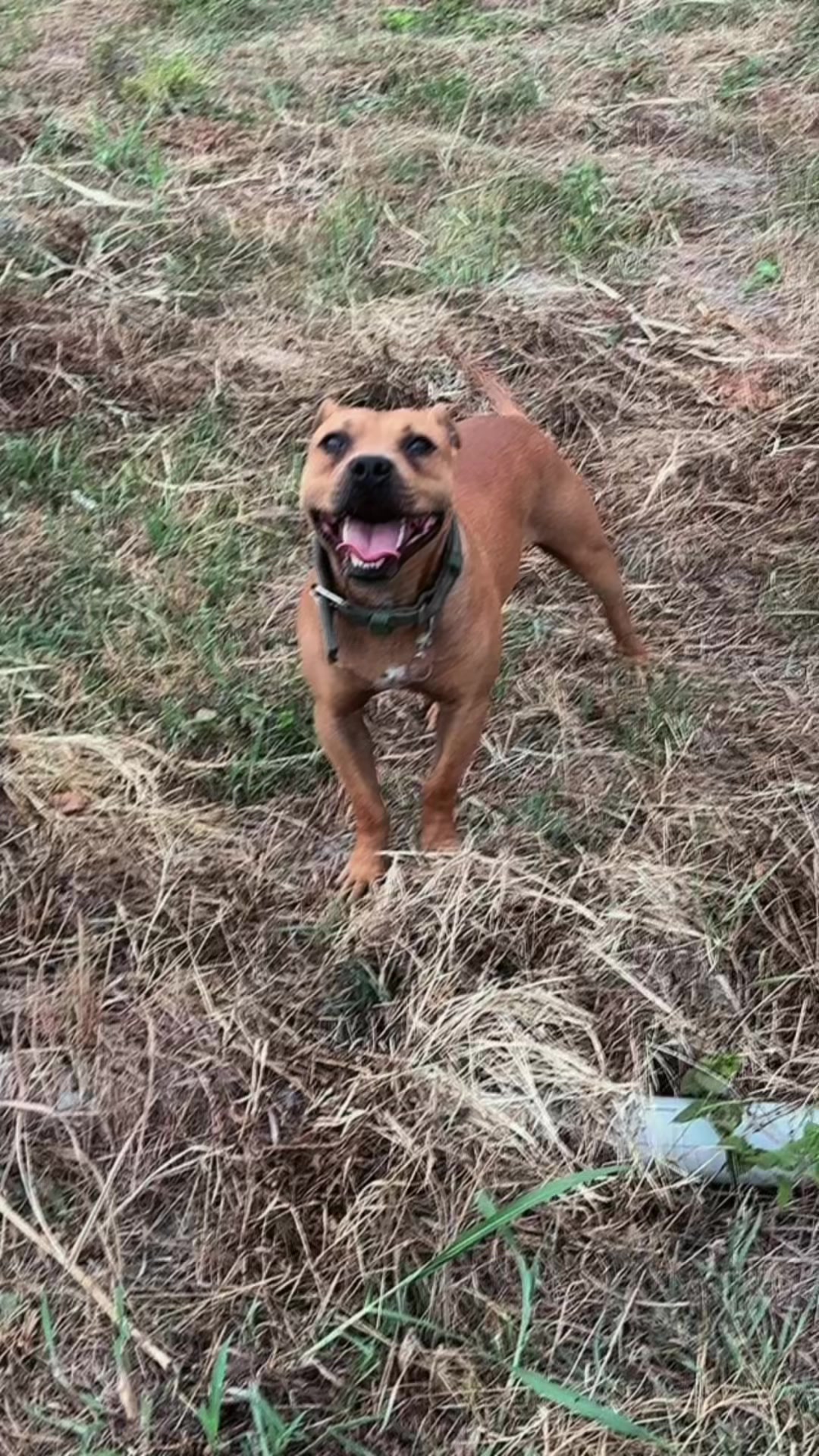 @Joker_pit8