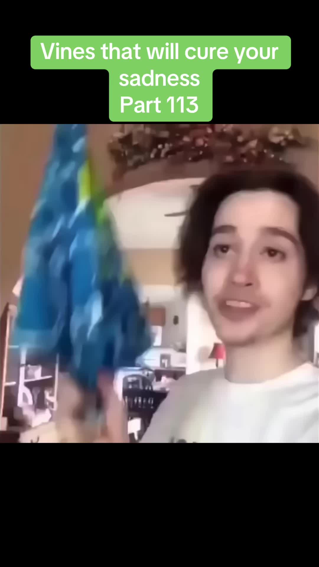 @vinesonlytiktok