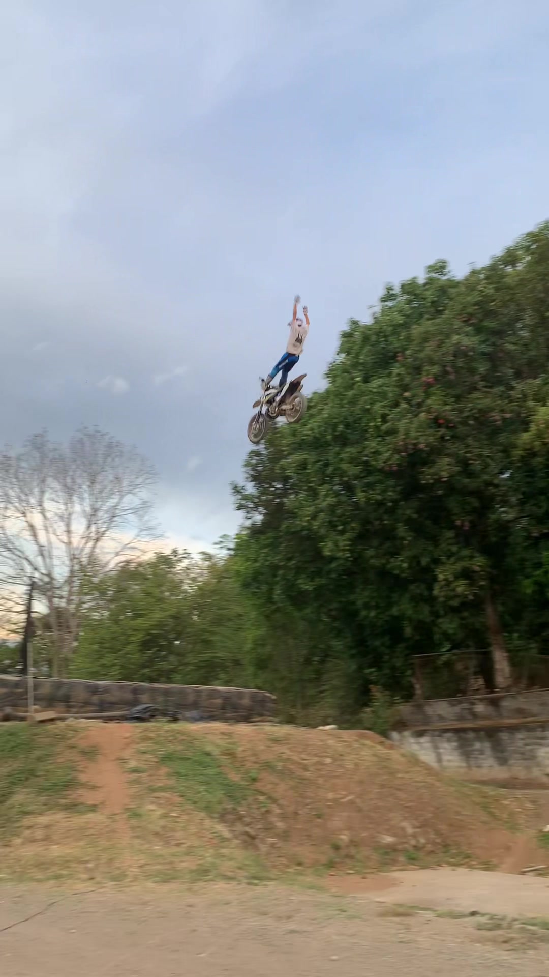 @gatofmx