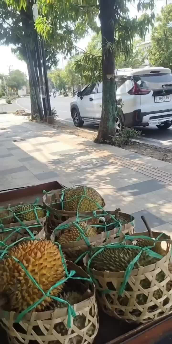 @Kenzhi Durian Tuban