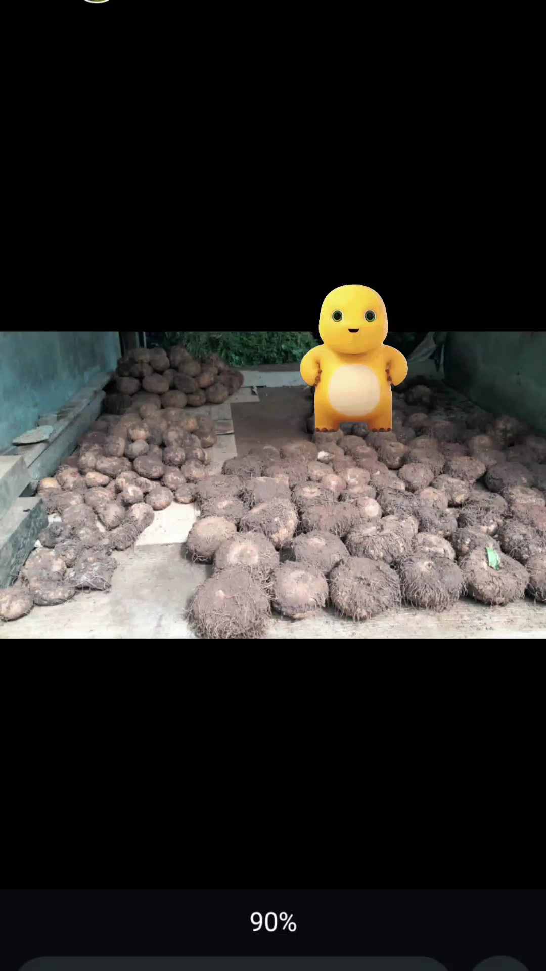 @mujijayaporang