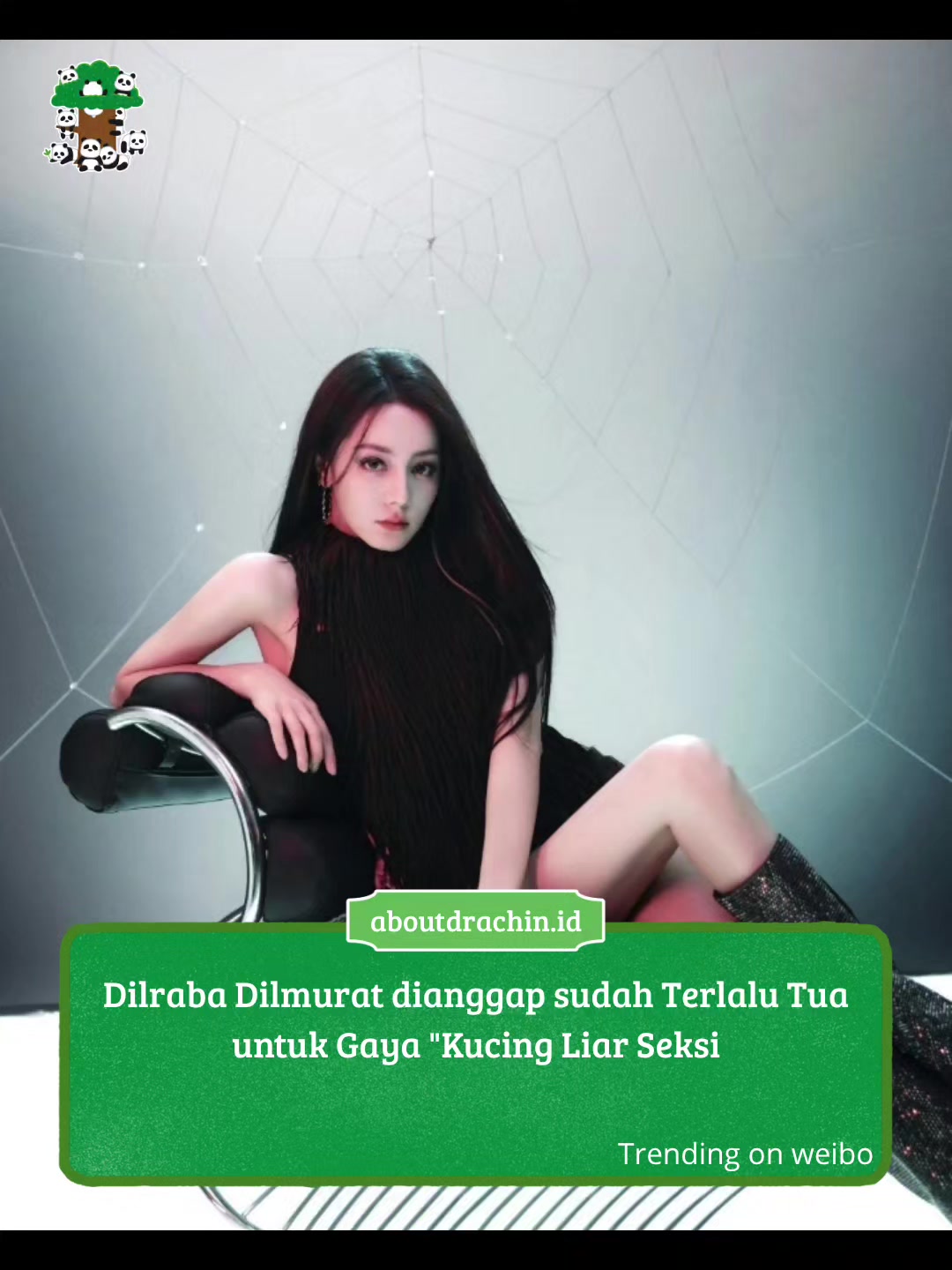 @About Drachin || Jastip