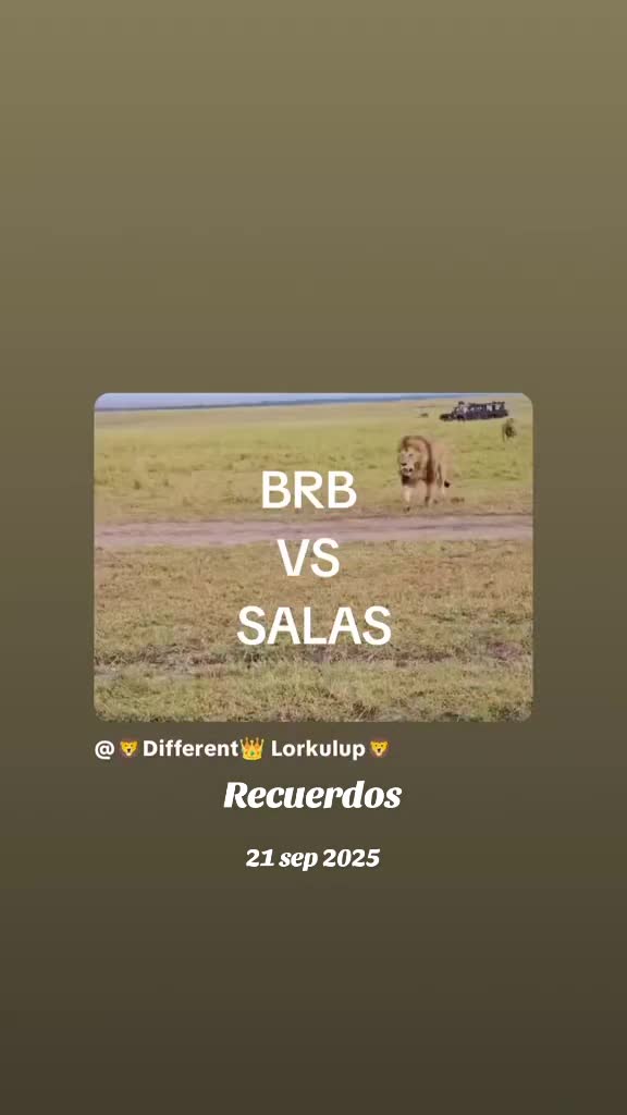 @🦁Different👑 Lorkulup🦁