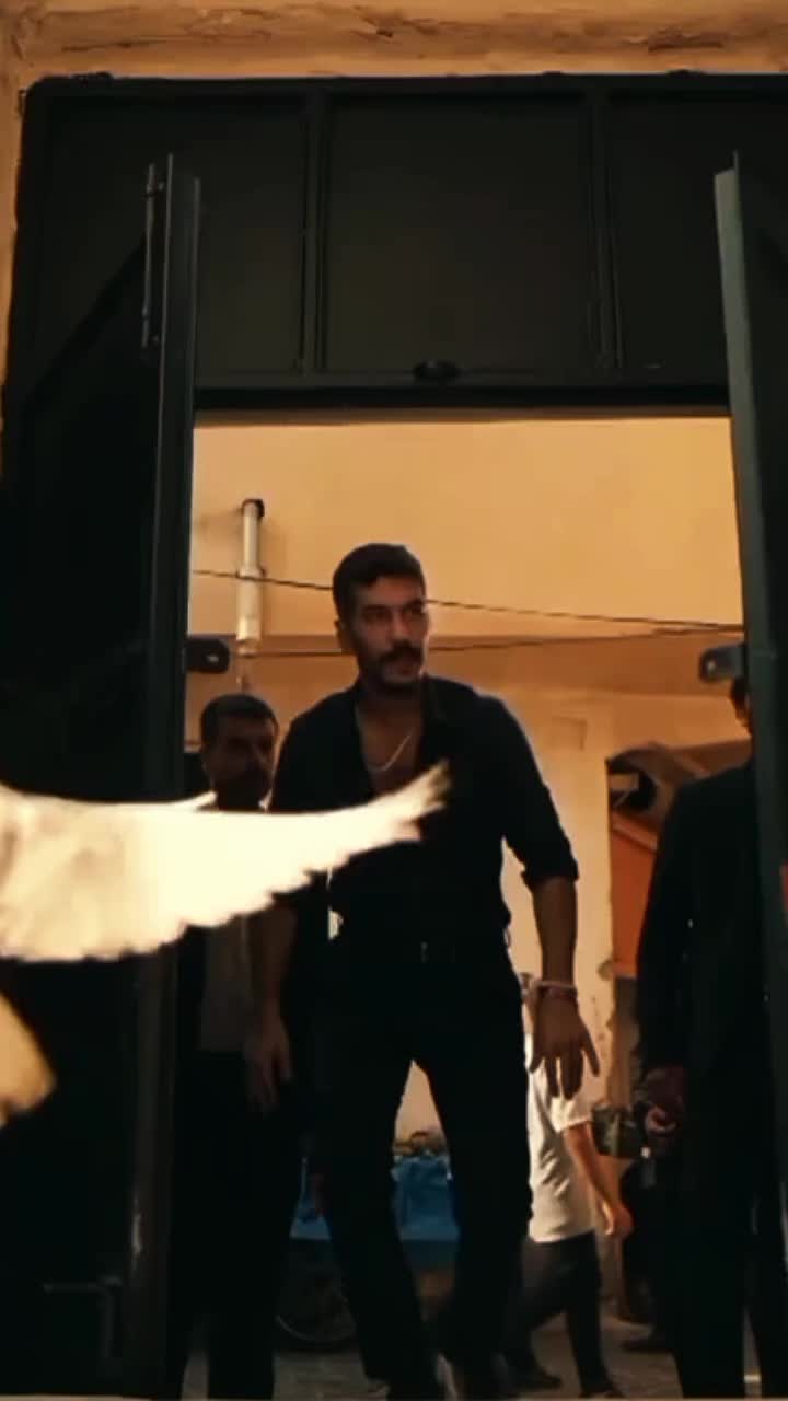 @Mert Doğan