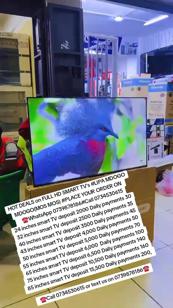 @lipa mdogo mdogo electronics