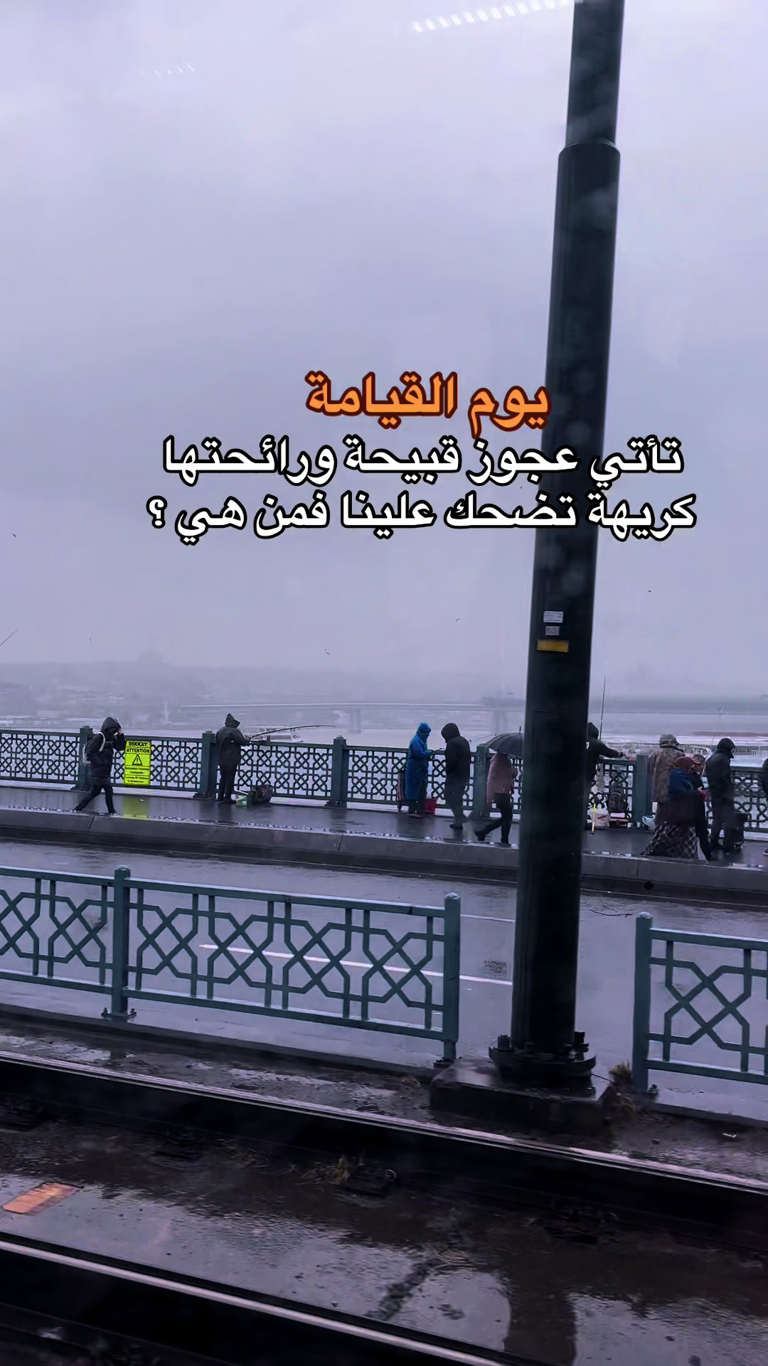 @﮼حسون