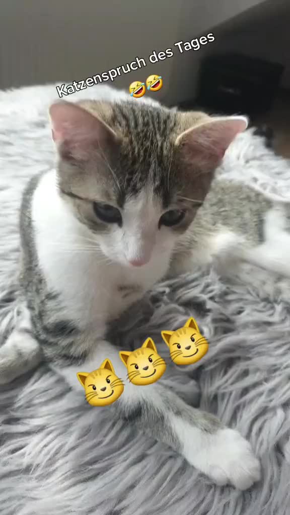 @Minnoş❤💙61