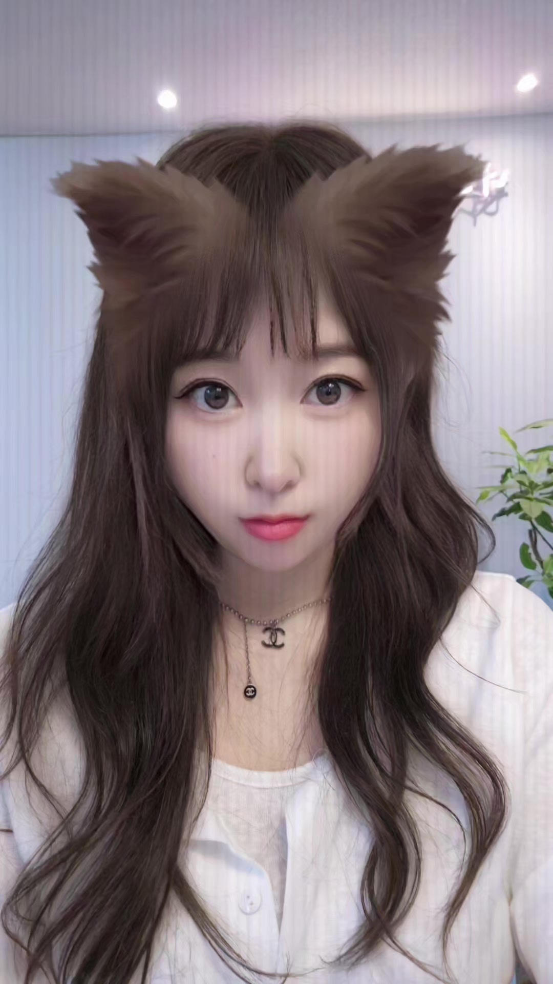 @핑크콕냥이🐈⬛💕