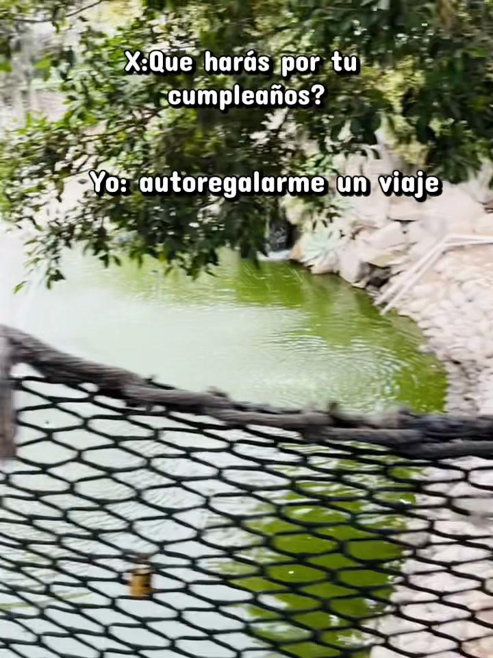 @Leslie08