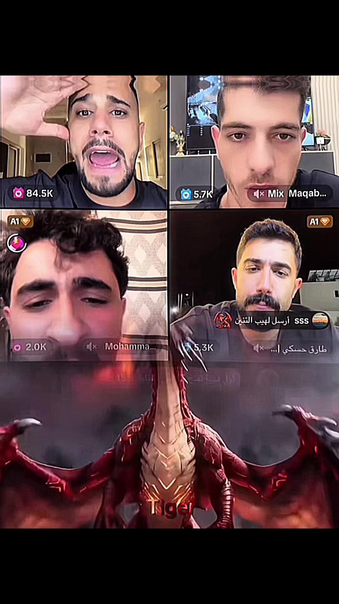 @(🥷🏽) 𝓣𝓲𝓰𝓮𝓻 (🚩)
