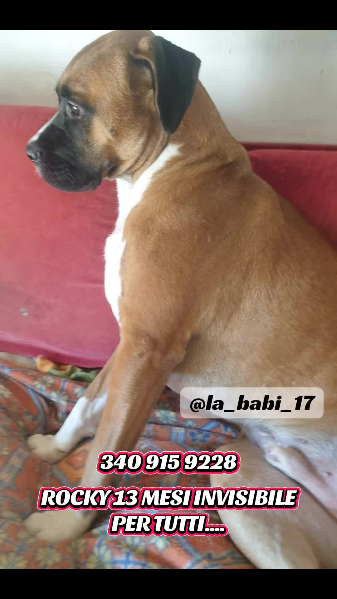 @la_babi_17
