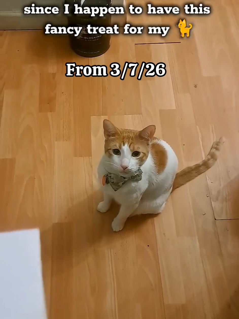 @Candice & Weasley