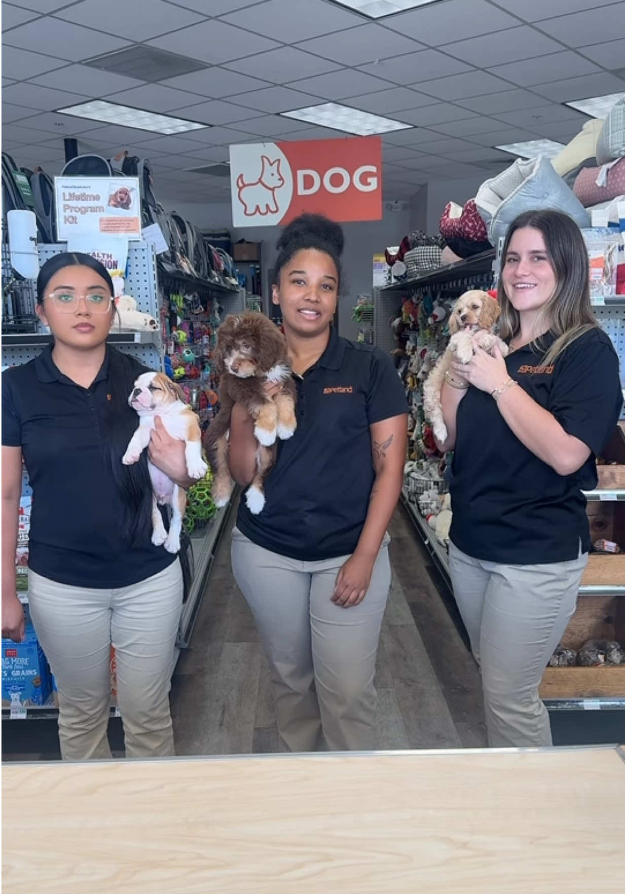 @Petland Bradenton