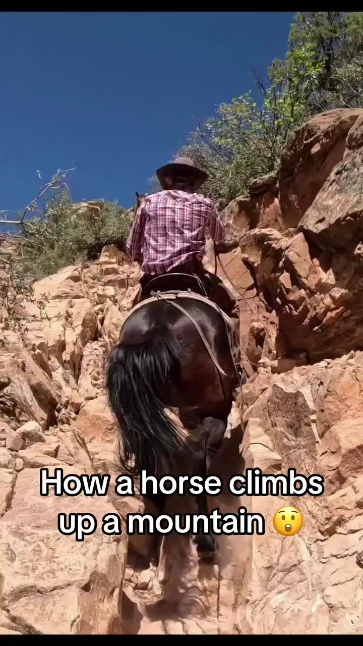 @ESPN