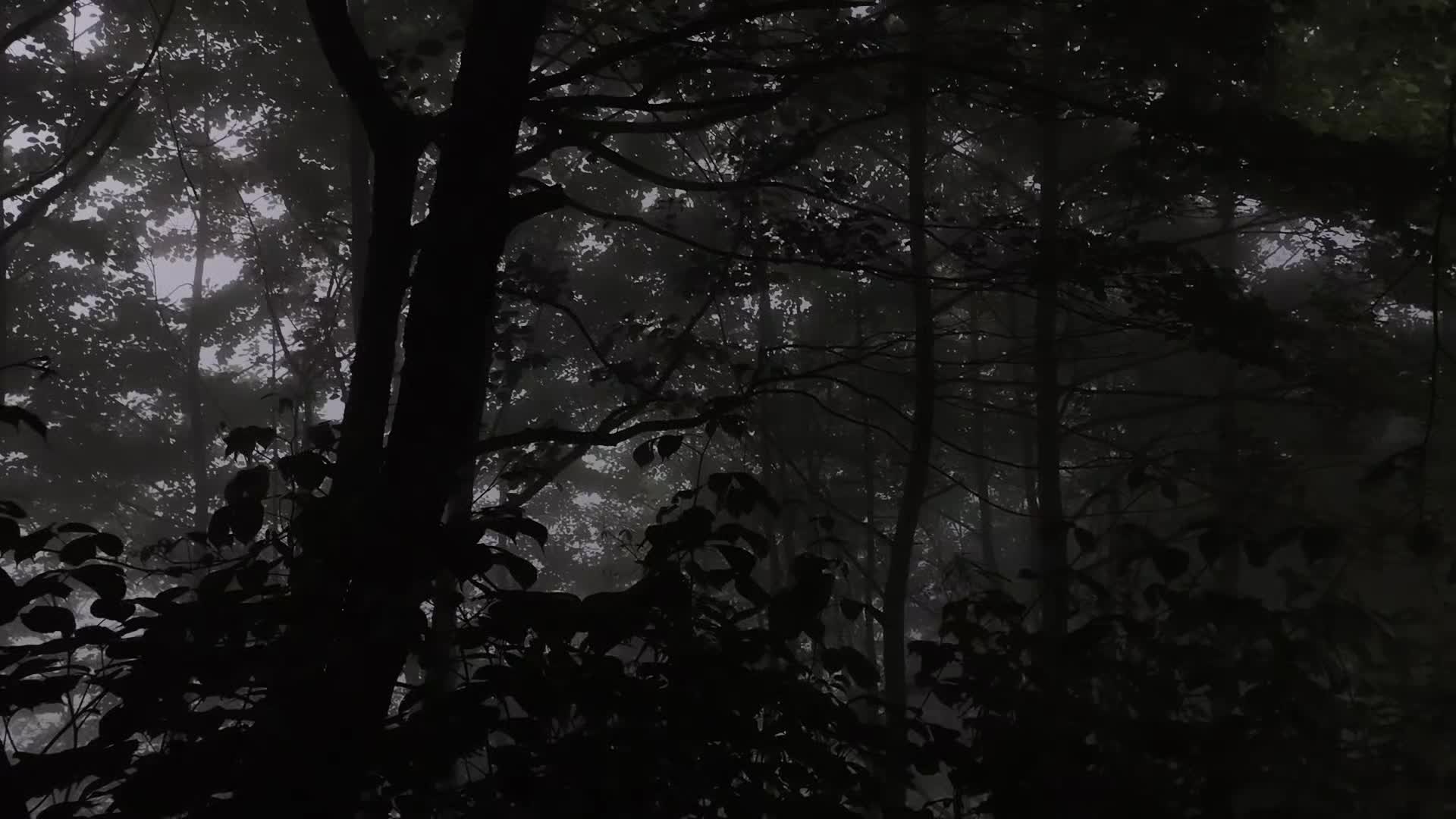 @C u r s e d L i f e