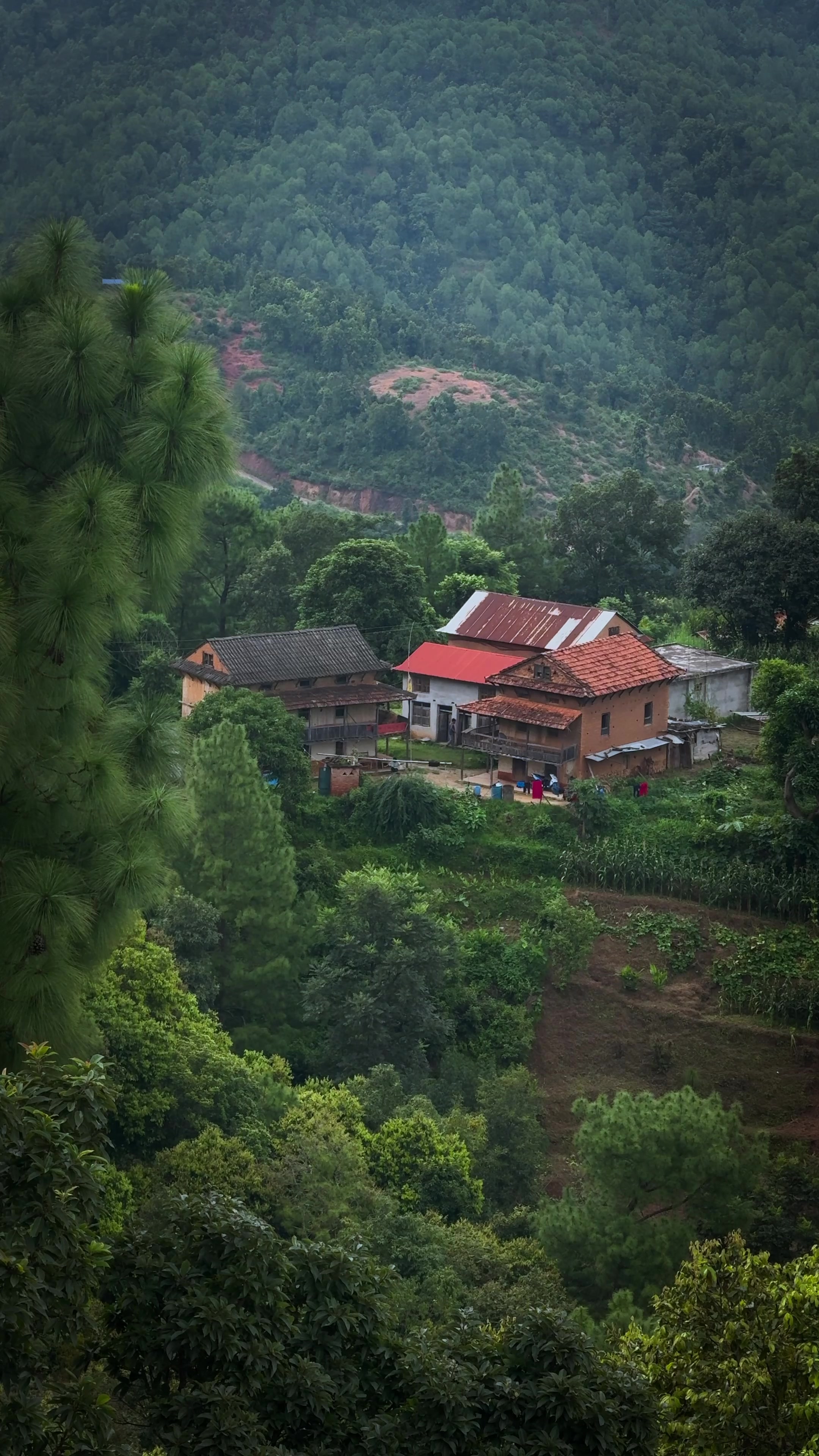 @Sudarshan Neupane