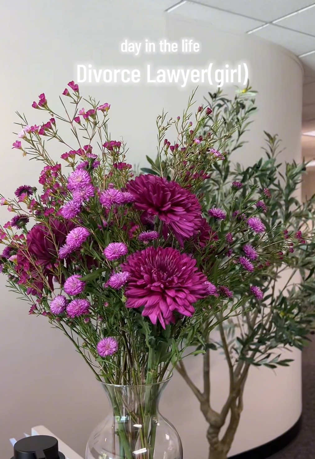 @Vanessa | Latina Lawyer
