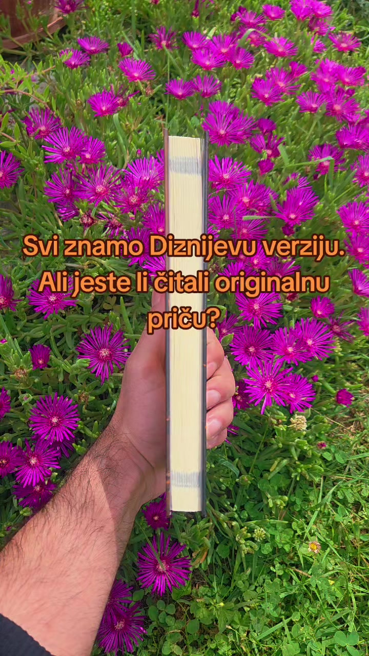 @svet.iza.kapije