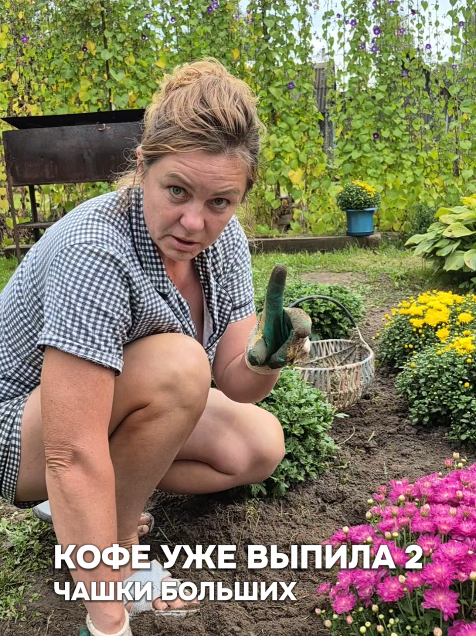 @Тая ЗолоТая