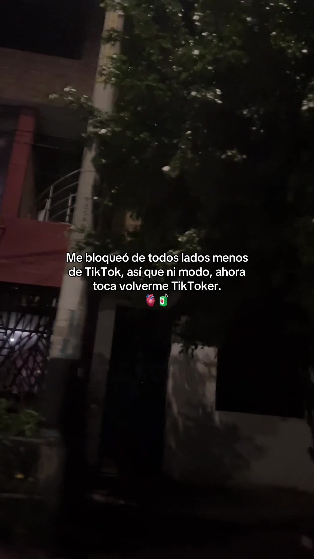 @Gatocix 🐱