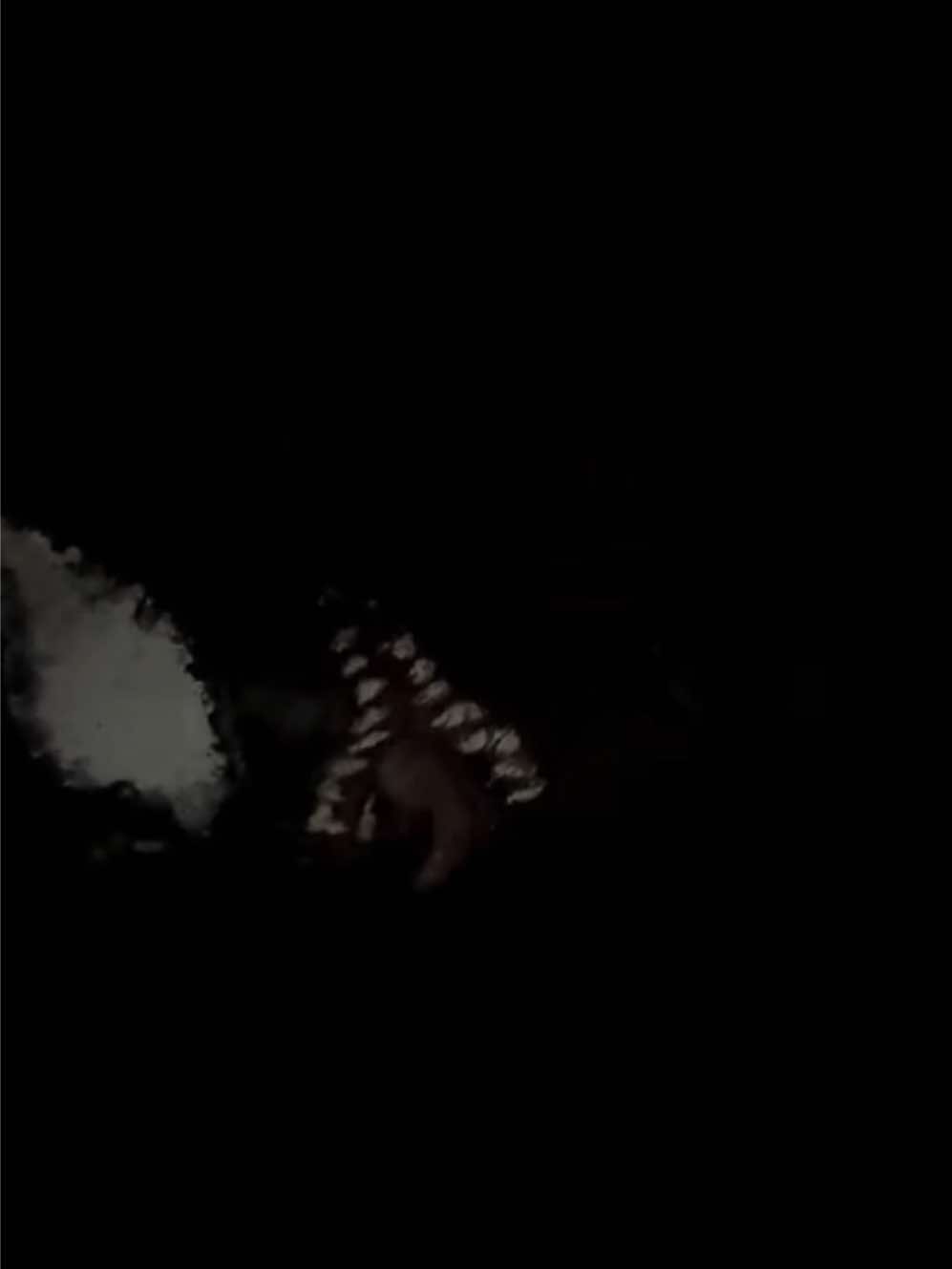 @&dagger;𝐒𝐨𝐧𝐲𝐊𝐨𝐦&dagger;
