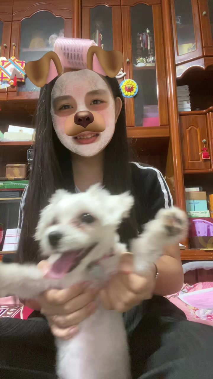 @ๅฐ้ณ ๐ป๐ณ๐น๐ผ