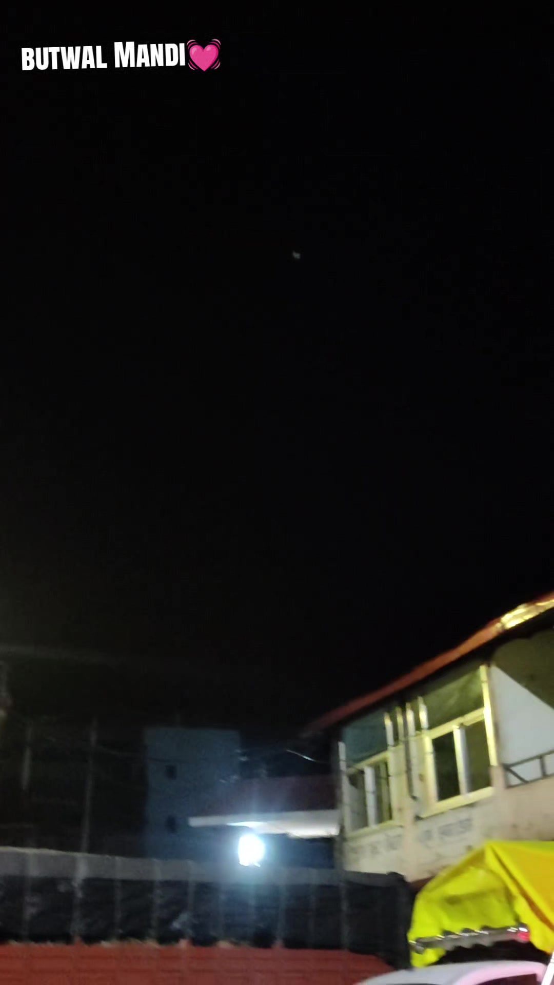 @तिलोत्तमा टाईगर🐯