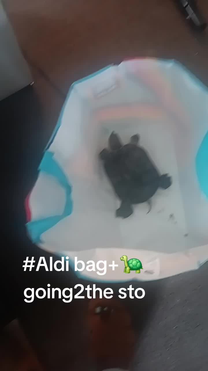 @De'j'aVue