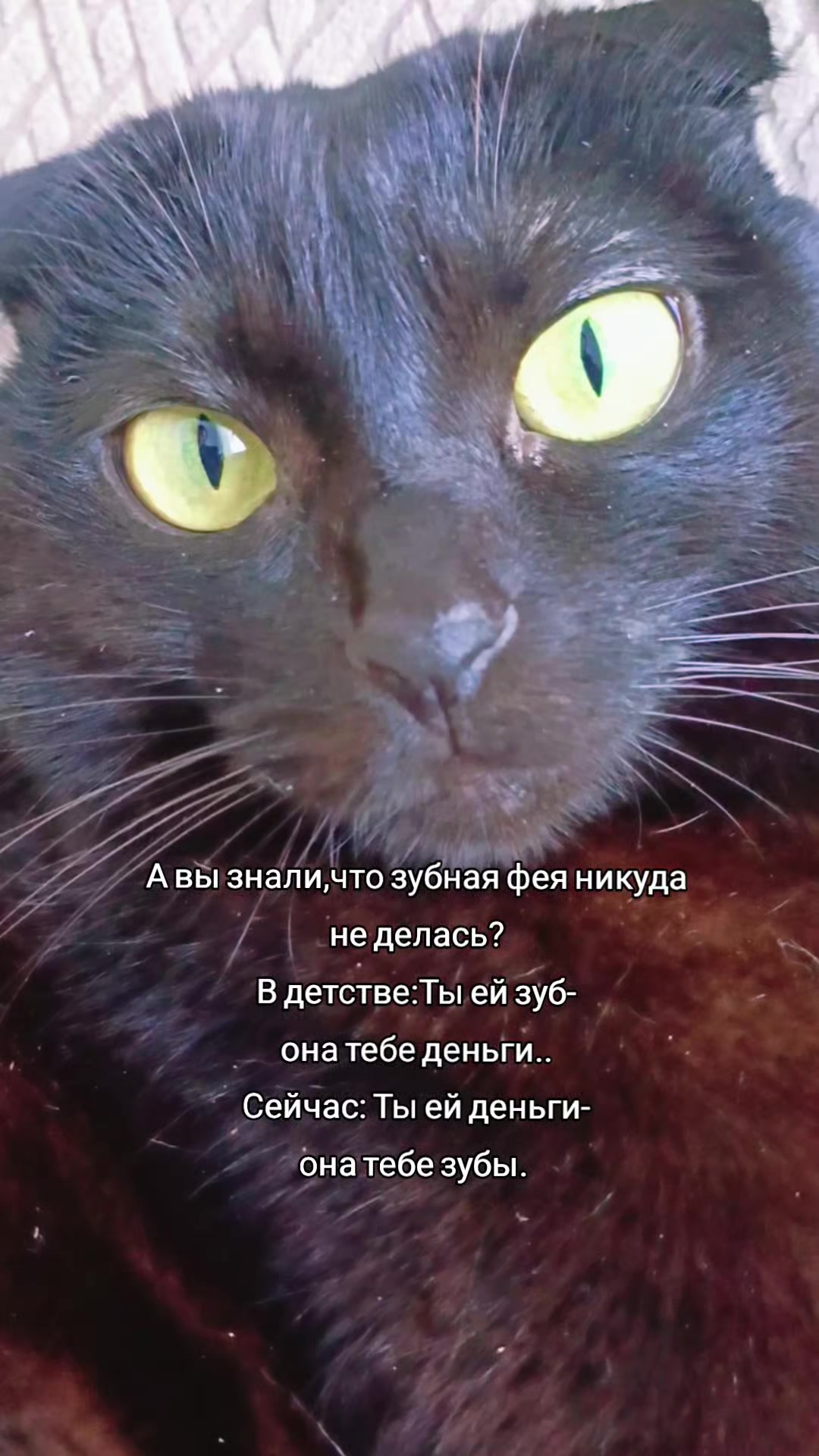 @ИрА😹Эля🐾🐾 ✔