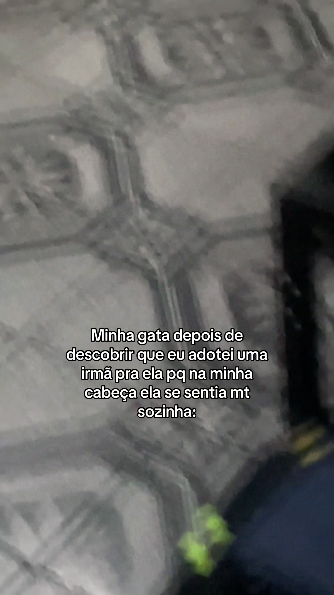 @eugabistecaa