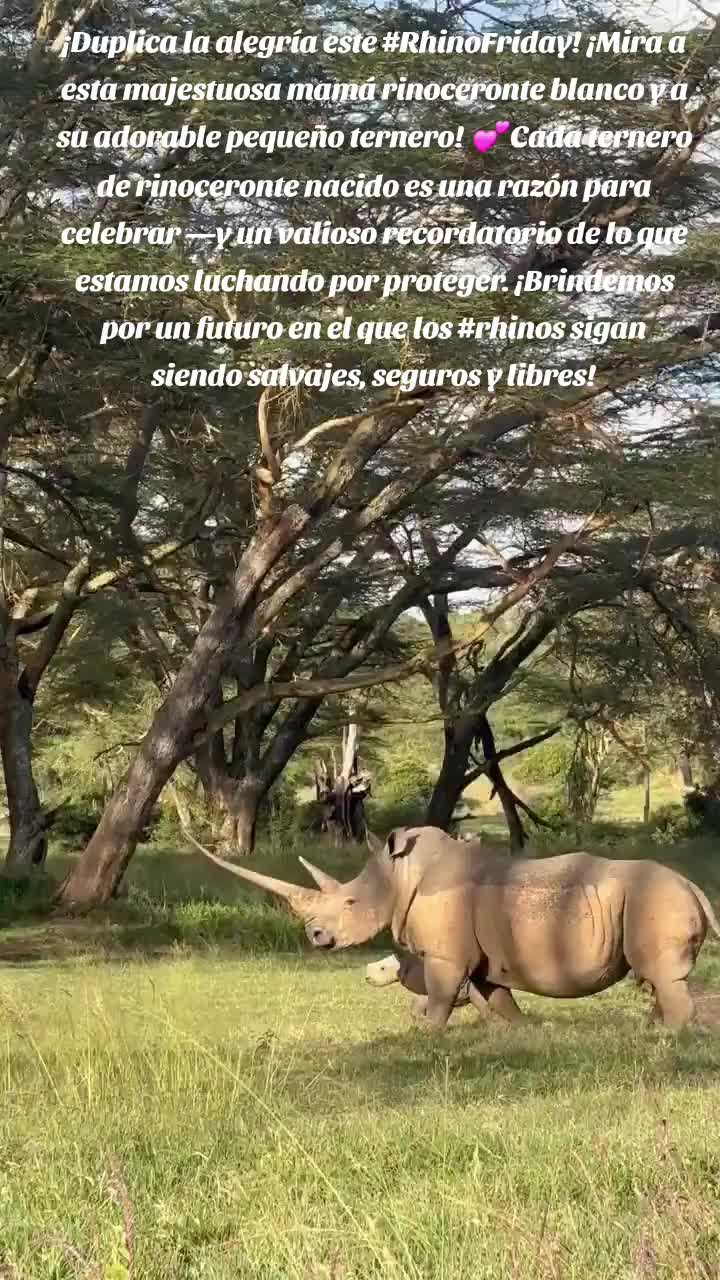 @Roxana Nunez