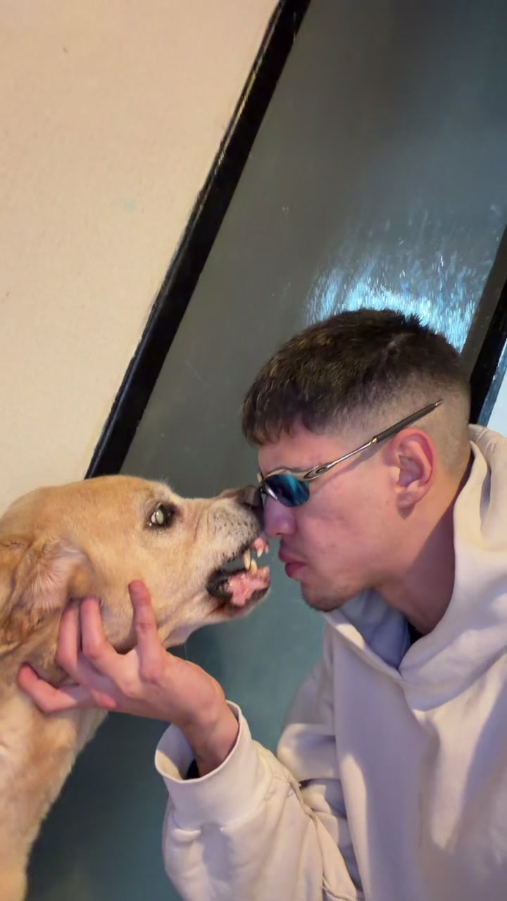 @RABIOSOO 🐶