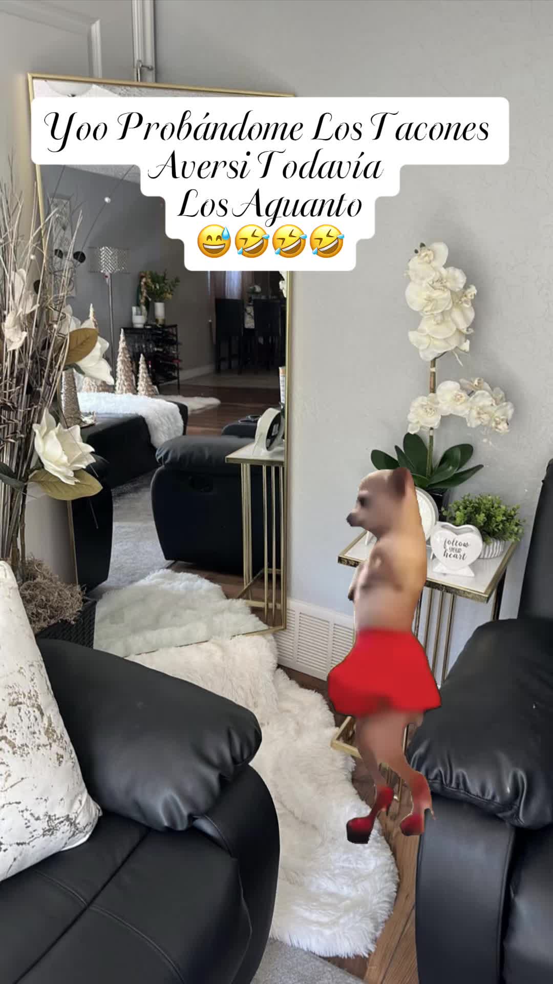 @GmzYeni