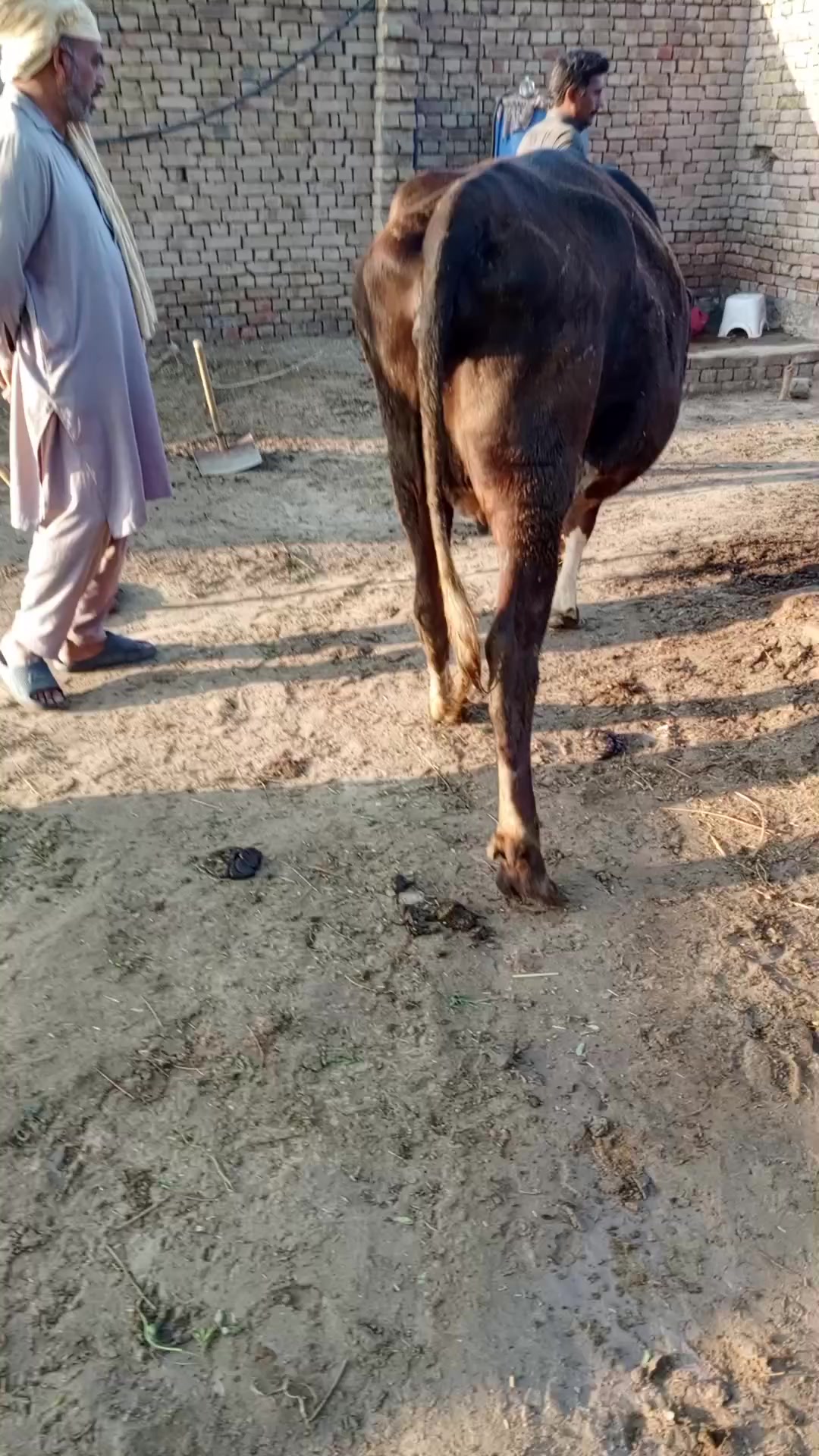 @RASHID JUTT