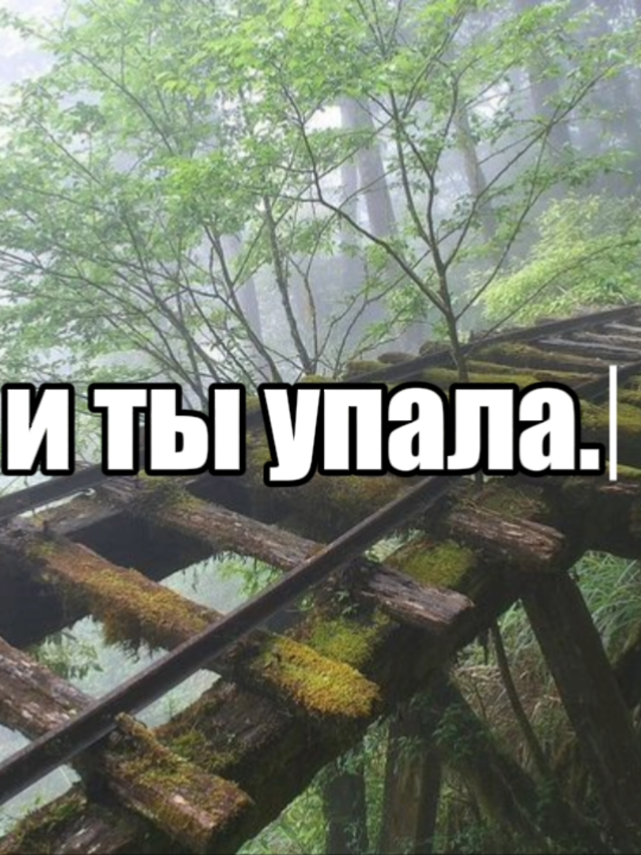 @mitkin