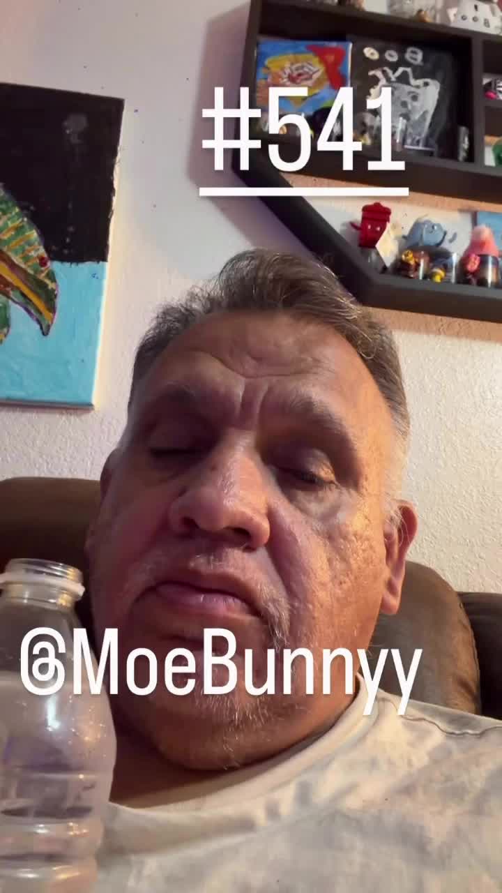 @abel turtle