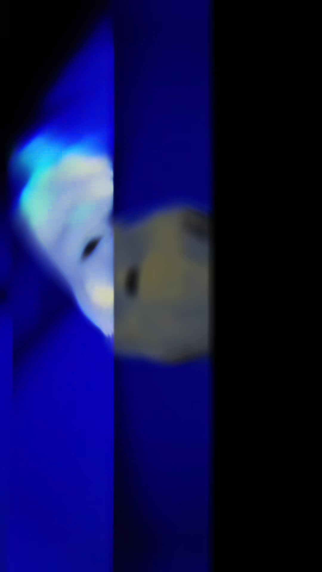 @ghostveil23