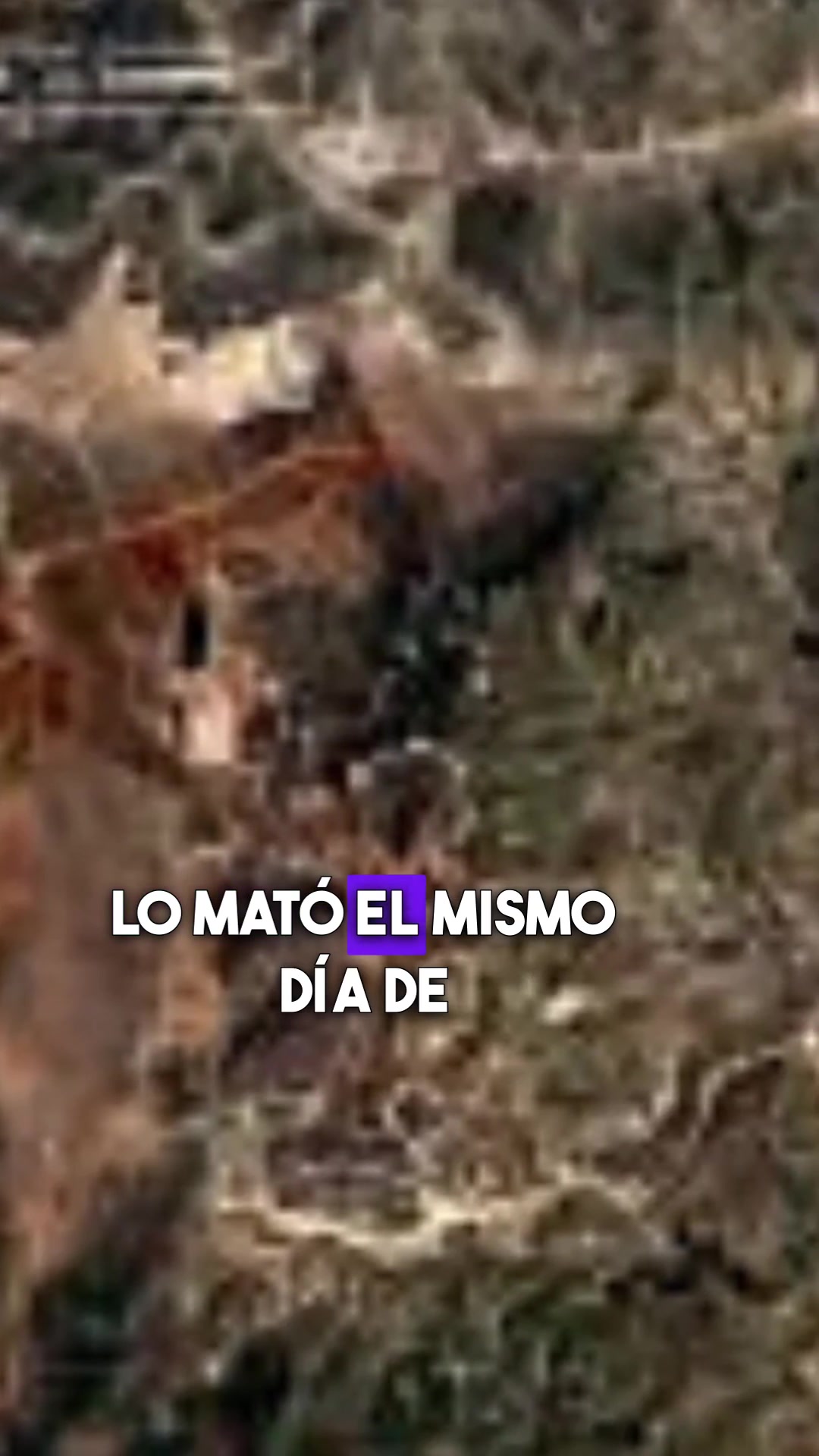 @Cr&iacute;menes de Medianoche