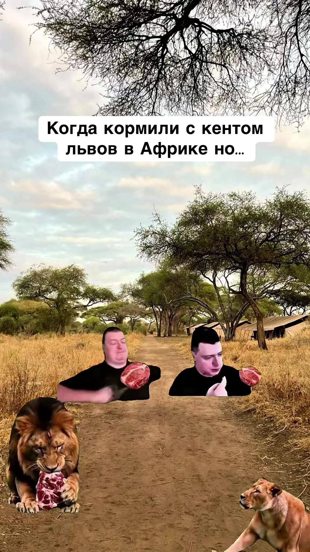 @opertivnik