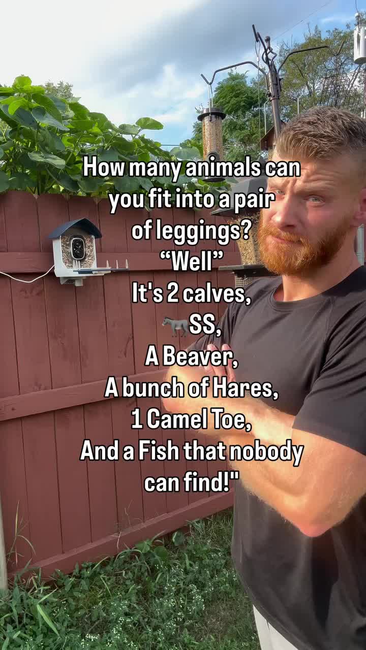 @Joe
