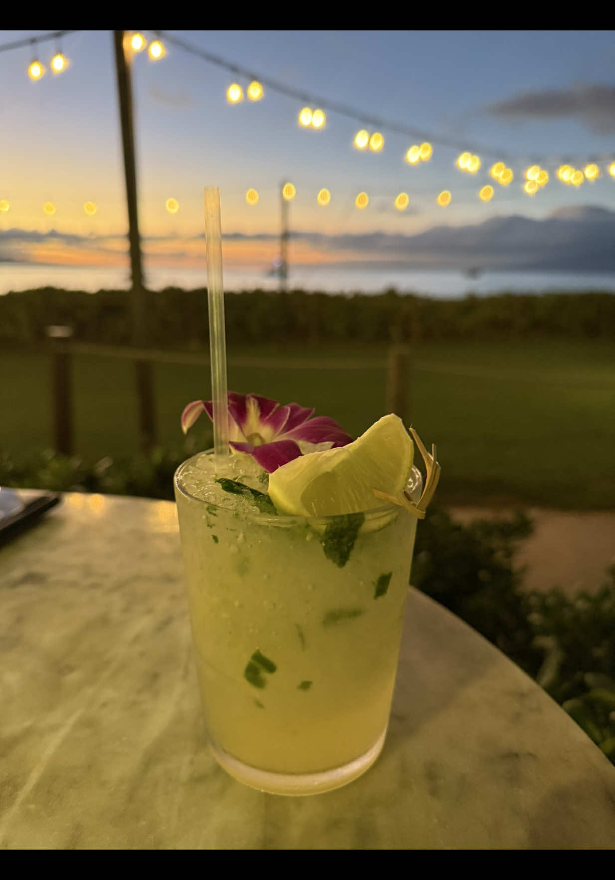 @The Wandering Kat | Travel